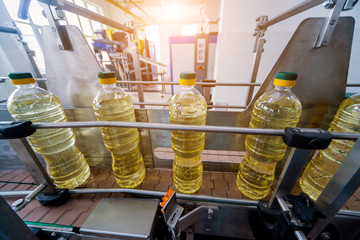 Bottling line of sunflower oil in bottles. Vegetable oil production plant. High technology.