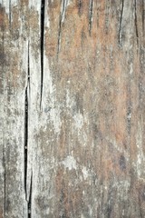 Wood texture background