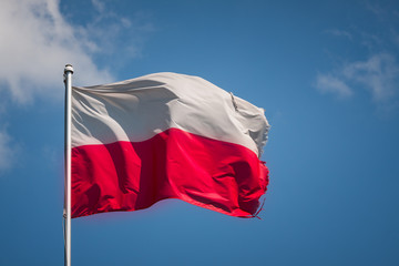 Fototapeta na wymiar Flaga Polski 
