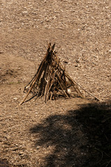 Branchages © hanthropos