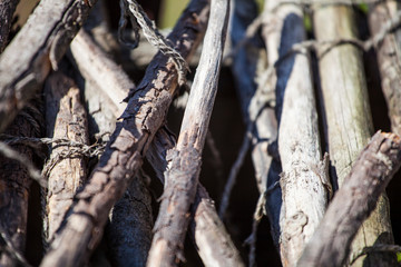Dry tree branches painted in white for background or backdrop use