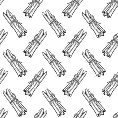 Cinnamon sticks. Vector concept in doodle and sketch style. Hand drawn illustration for printing on T-shirts, postcards.