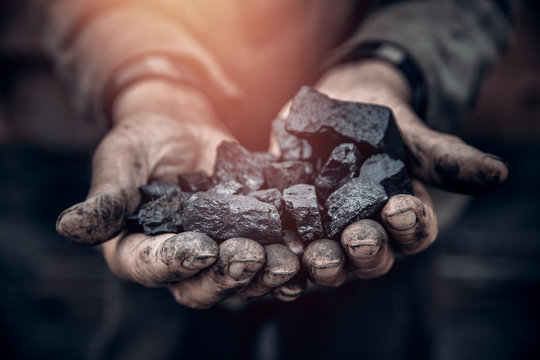 Miner holds coal, palm texture. Concept mining, black stone.