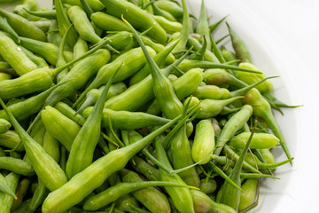 Close up of radish seed pods.