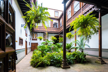 beautiful garden inside colonial houses in tenerife