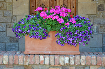 Fototapeta na wymiar Beautiful pink and purple petunias planter