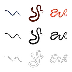 Obraz premium Isolated object of mammal and danger sign. Collection of mammal and medicine stock vector illustration.