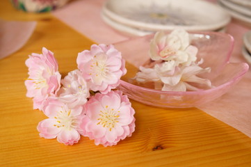 Tableware pink Cherry Blossoms flower Pretty