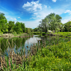 forest river