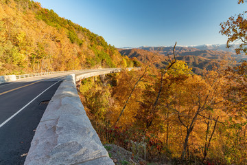 Gorgeous autumn day along the Foothills Parkway in Wears Valley in the Great Smoky Mountain National Park.