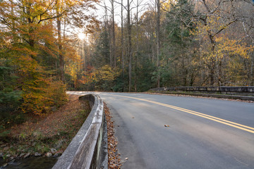Fototapeta premium The sun shines on a gorgeous autumn day along the Foothills Parkway in Wears Valley in the Great Smoky Mountain National Park.