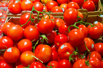 Ripe red cherry tomatoes on vine in grocery produce market
