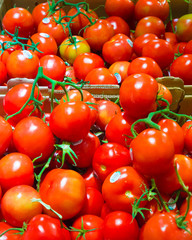 Ripe red cherry tomatoes on vine in grocery produce market