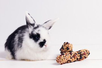little rabbit on a white wooden background with dessert cereal chopsticks