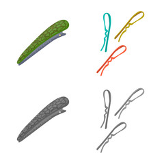 Isolated object of beauty and fashion logo. Collection of beauty and female vector icon for stock.