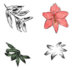 painted flowers and leaves, red flower, green, black on a white background