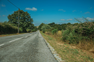 Fototapeta na wymiar Deserted road passing through rural landscape