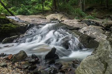 Naklejka premium Waterfall in the woods at Croydon Creek