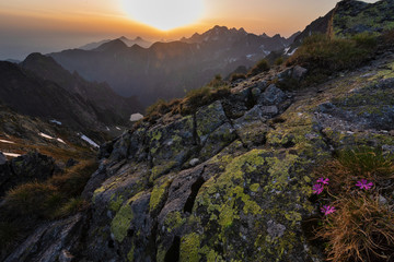 Naklejka na ściany i meble Beautiful scenery of the High Tatras mountains in Slovakia