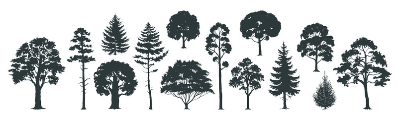 Trees silhouettes. Forest and park pines firs and spruces, coniferous and deciduous trees. Vector isolated retro images nature set - obrazy, fototapety, plakaty