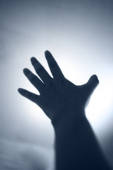 Hand Reaching For Light