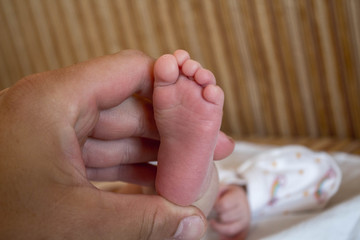 the newborn baby leg in father's hands