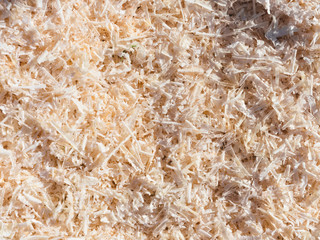 Wood shavings background texture