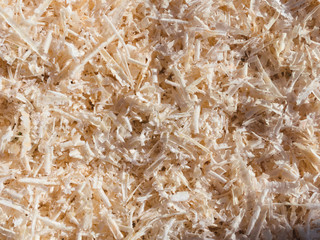 Wood shavings background texture