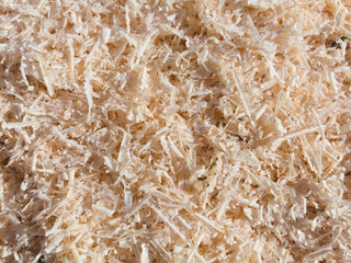 Wood shavings background texture