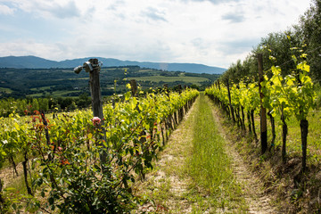 Todi, Umbria