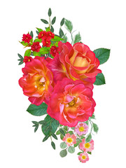 Flower composition. Bouquet of bright beautiful red yellow roses, green leaves. Isolated on white background.