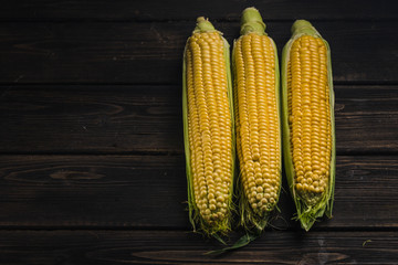 Corn on a dark wood background
