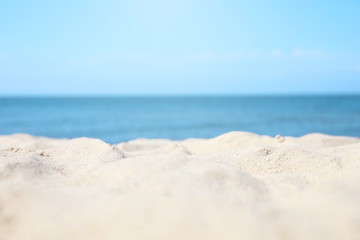 Obraz na płótnie Canvas Sandy beach near sea on sunny day