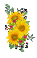 Flower composition. A bouquet of yellow sunflowers, bright crimson flowers, green leaves. Isolated on white background.
