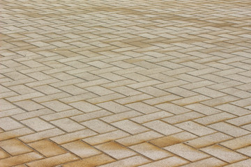 Pavbing Bricks in Zigzag Pattern