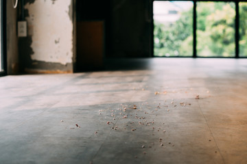 Dirty dusty wooden floor with shavings on background of window and shabby wall in daylight
