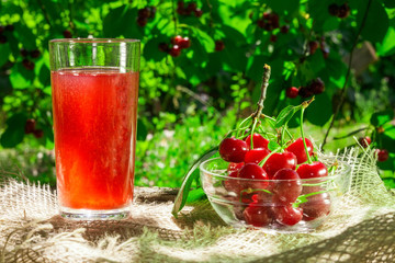 the cooking juice from the cherries in the garden