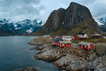 Typical red rorbu fishing huts with sod roof on Lofoten islands in Norway