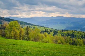 Fototapeta na wymiar Beautiful spring mountain landscape. Green rural scenery on the hills.