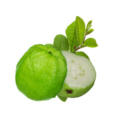 two guavas with branch leaves isolated on white