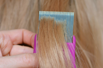 Close up of combing blond hair with a lice comb