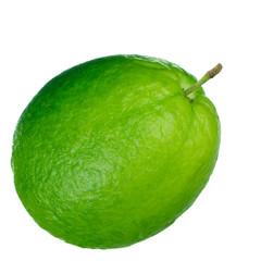 red guava isolated on white background