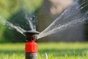 Green lawn irrigation by pop-up sprinkler