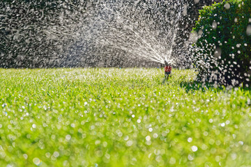 Turf irrigation by automatic pop-up sprinkler