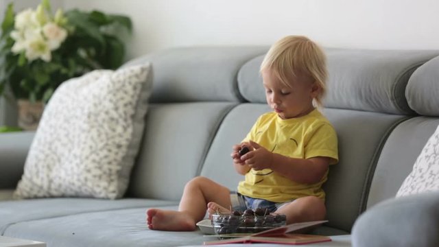 Sweet toddler boy, sitting on a couch, eating cherries and looking at picture book, enjoying healthy meal
