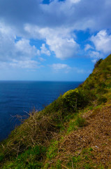 Fototapeta na wymiar View of Atlantic Ocean in Terceira Island ,Azores
