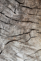 Old Weathered Cracked Embossed Wood Texture