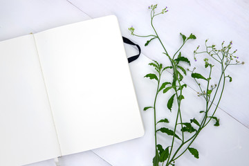 Blank page of sketchbook with green leaf. Open notepad top view photo on white background. Stylish...