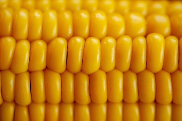 texture of boiled corn wet