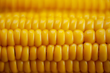 texture of boiled corn wet